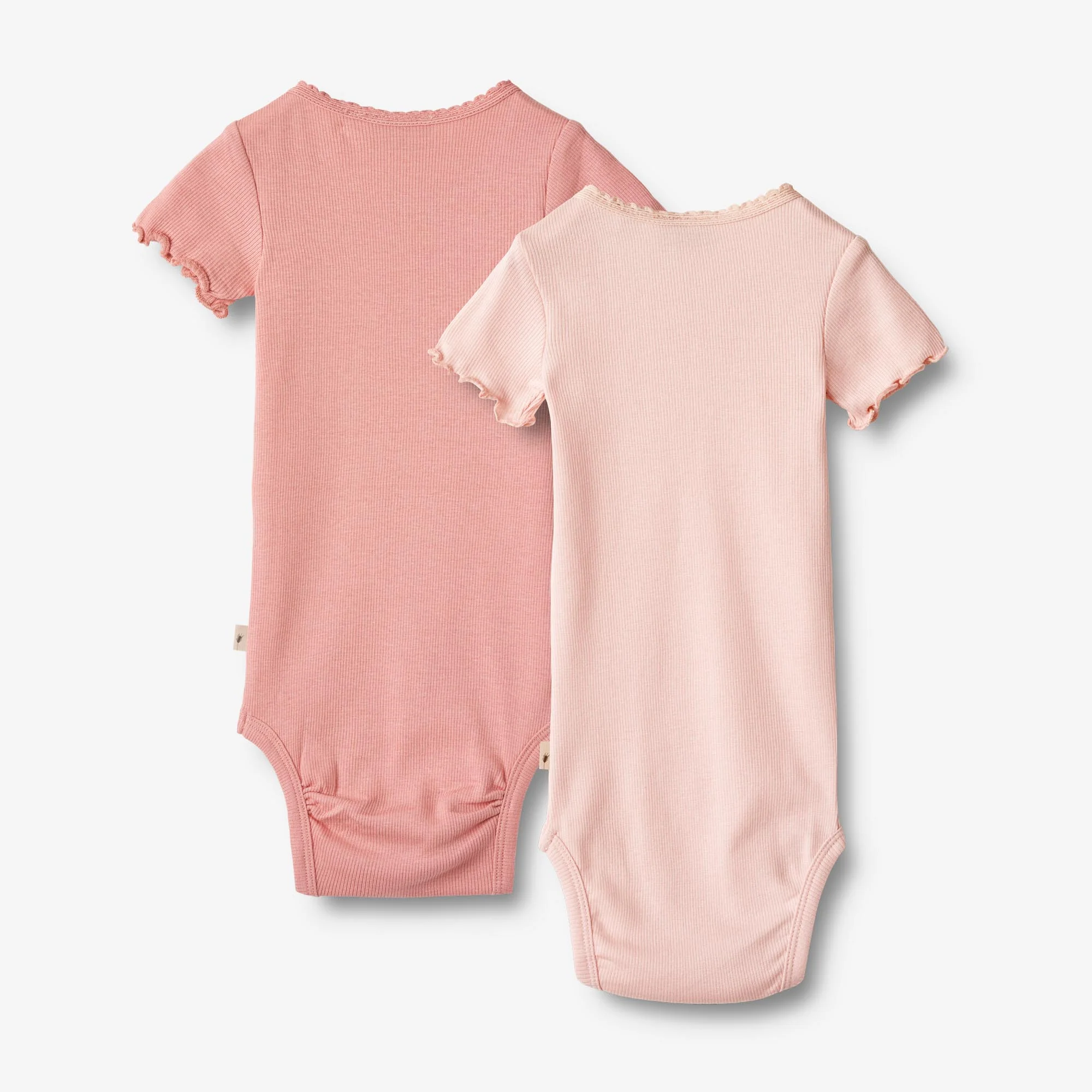 2 Rib Body S/S Edna - rosette ballet - Image 2