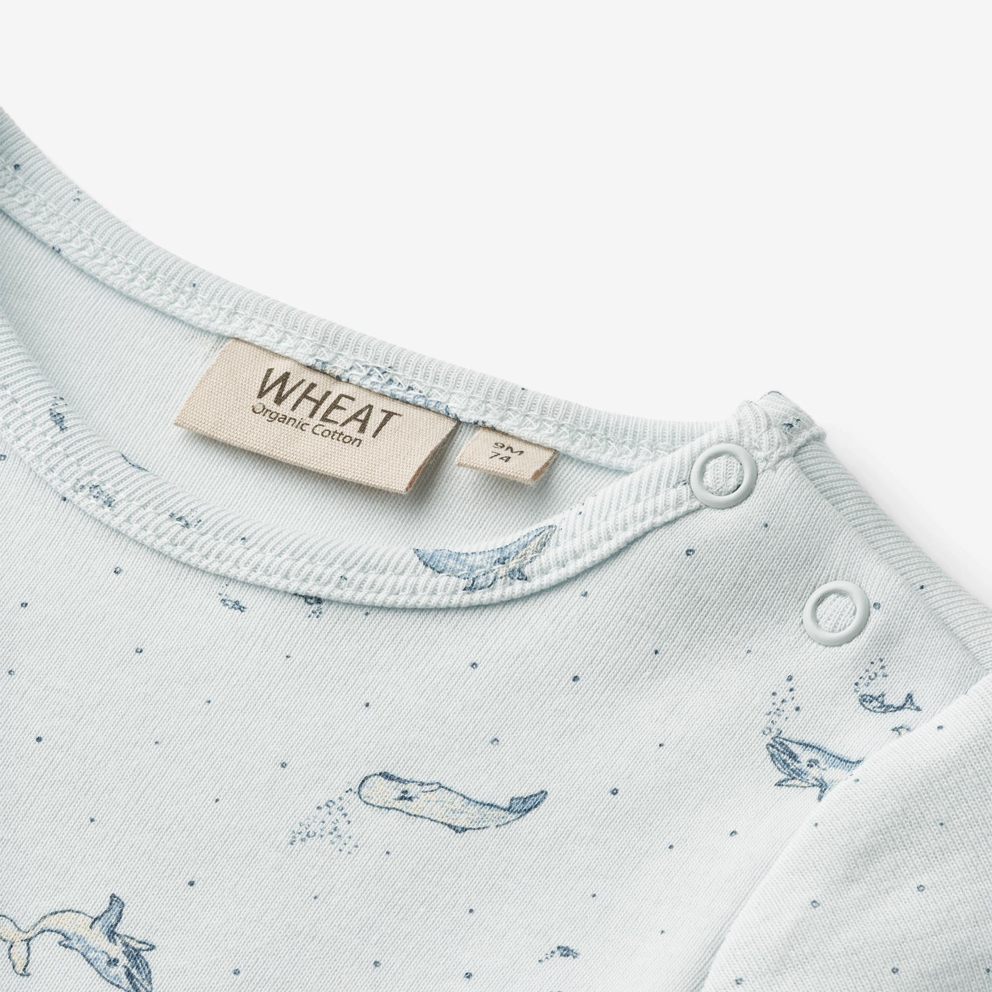 Body L/S Berti - light blue whales - Image 3