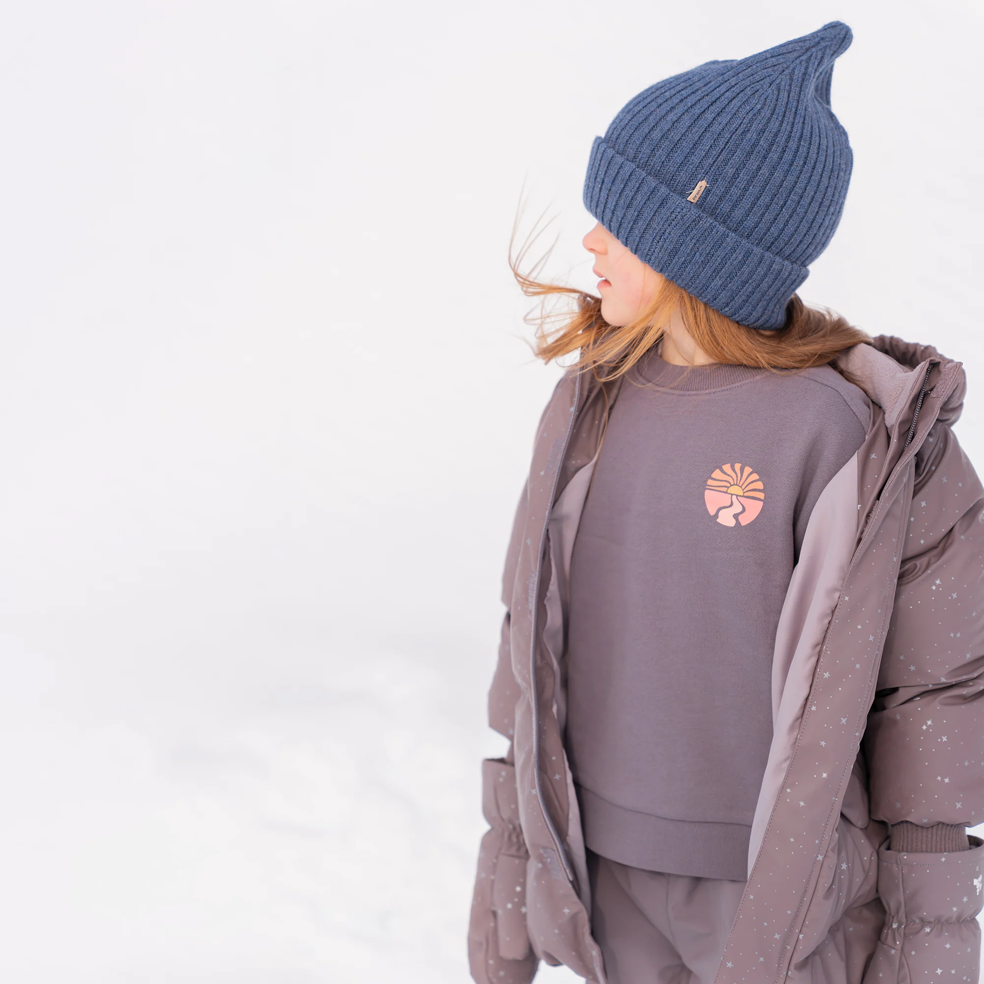 Sweatshirt L/S Ellis - purple stone - Image 9
