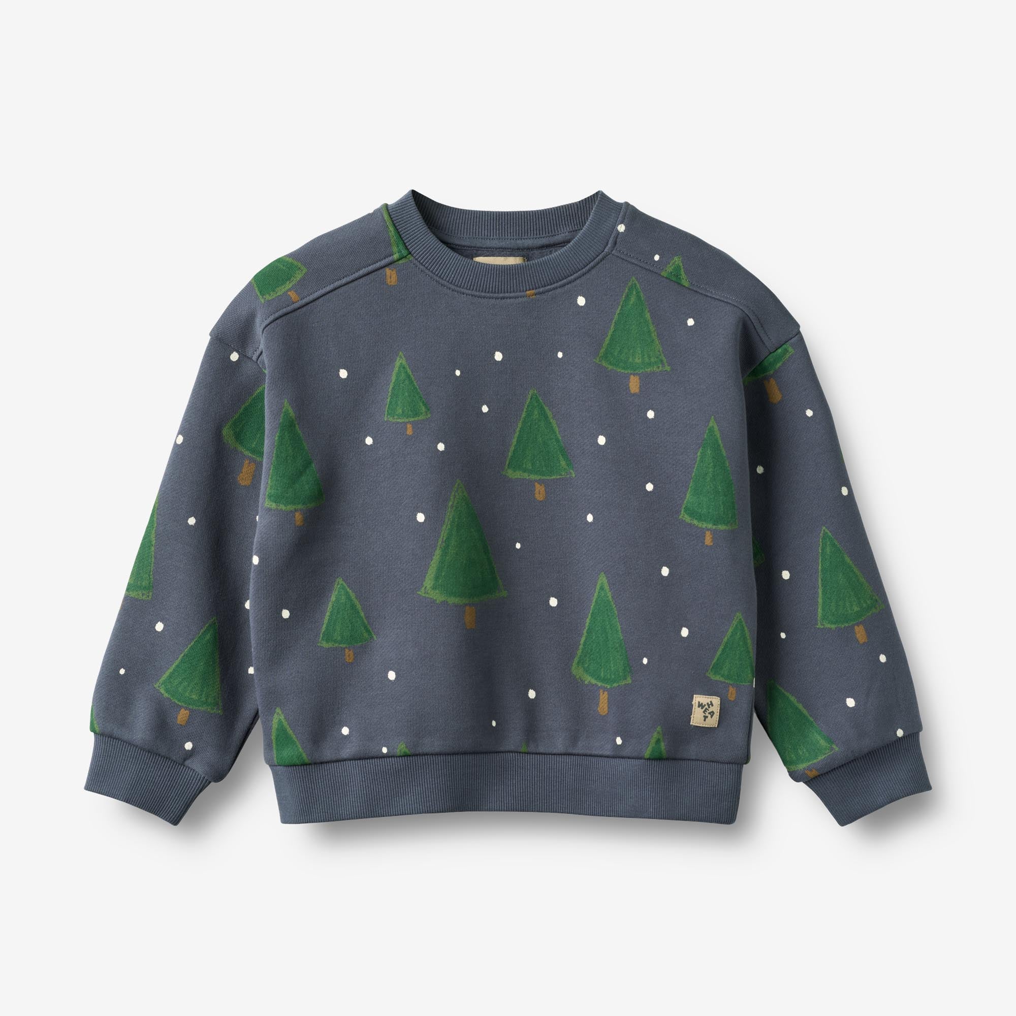 Sweatshirt L/S Sandro - greyblue holiday