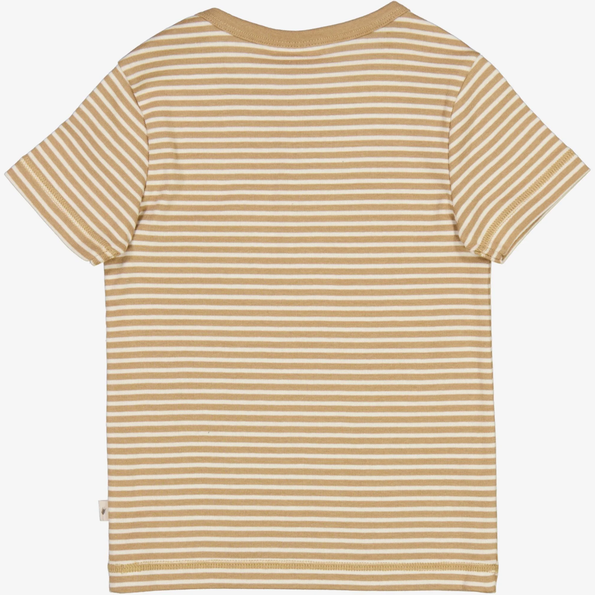T-Shirt Bertram - cappuccino stripe - Image 2