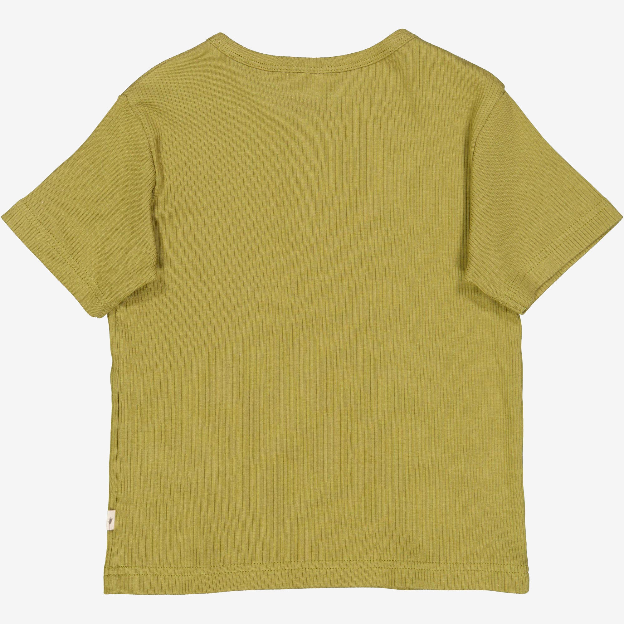 T-Shirt Lumi - frog - Image 2