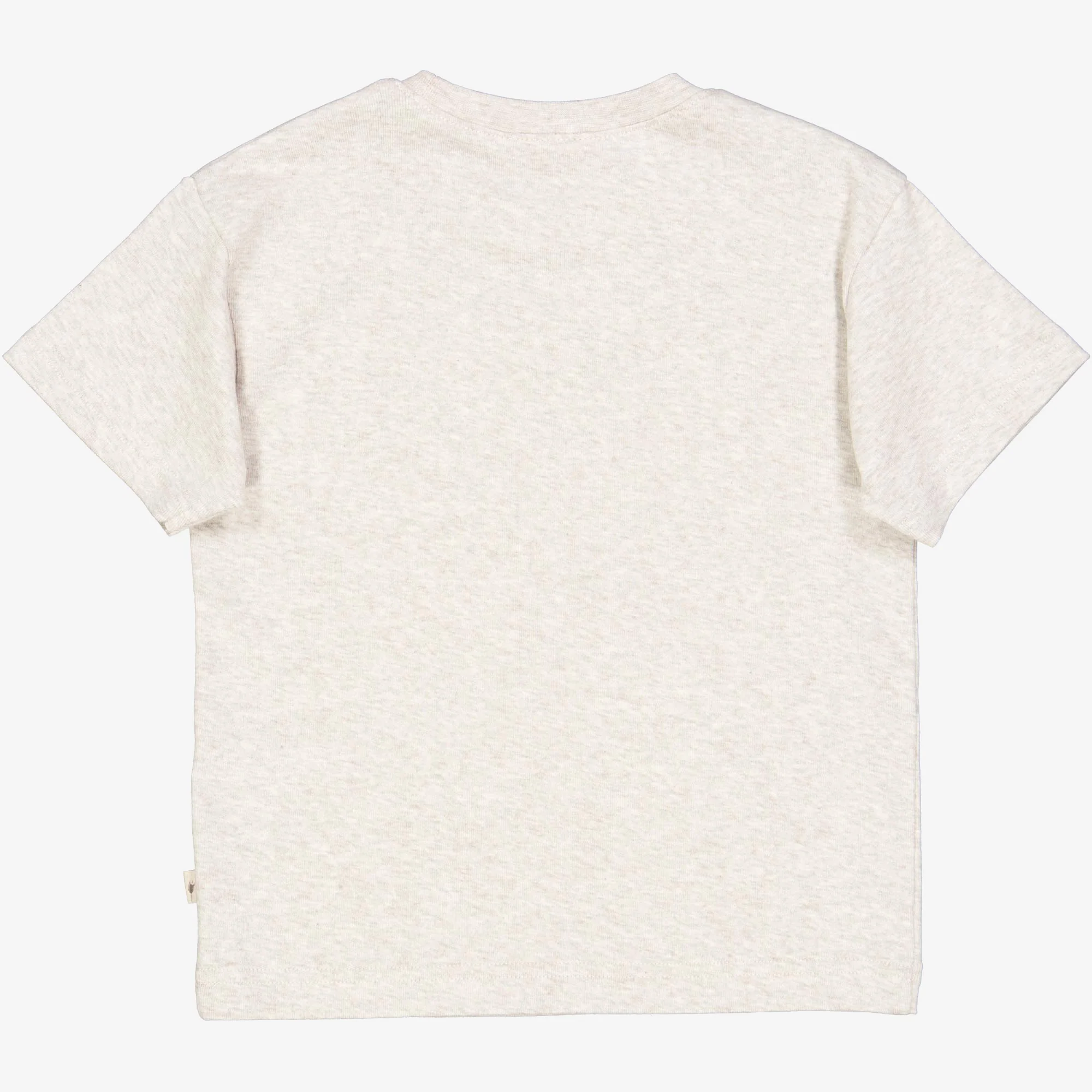 T-Shirt New Species - fossil melange - Image 2