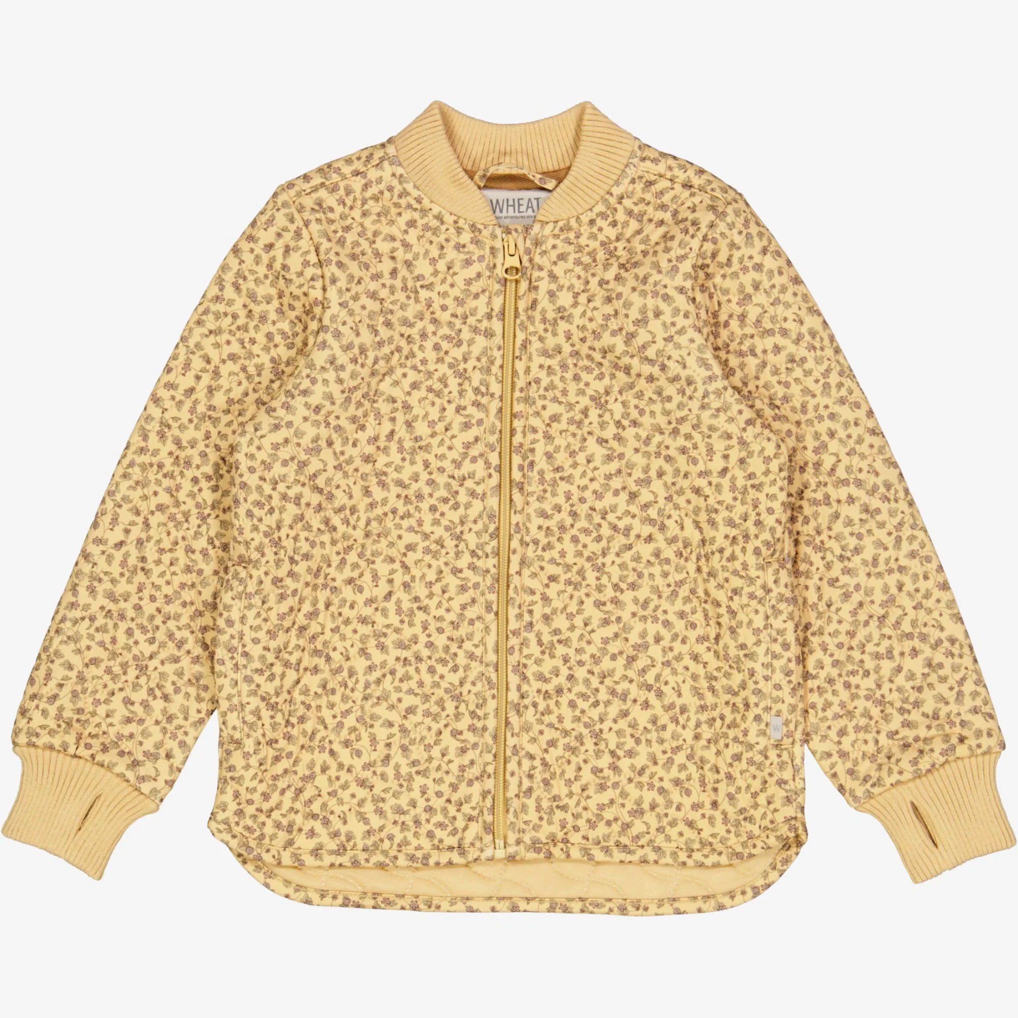 Thermo Jacket Loui - gooseberry wine