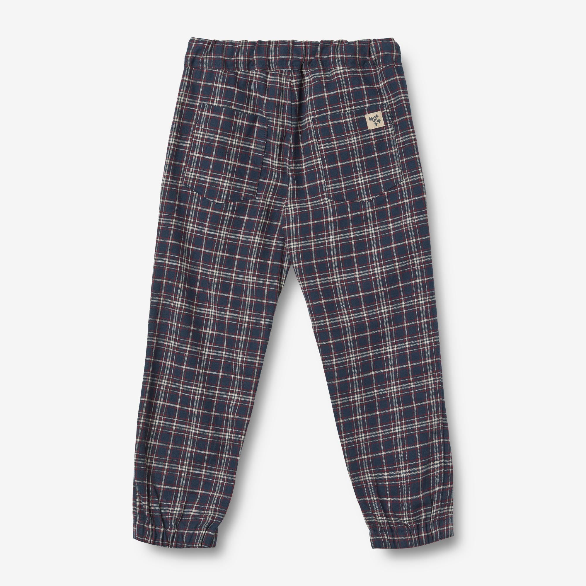 Trousers Rufus Lined - navy check - Image 7